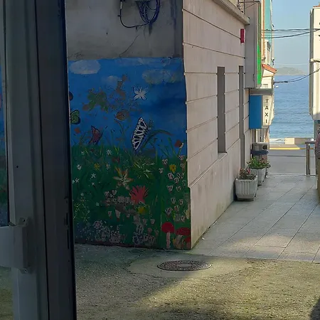Caballito De Mar *